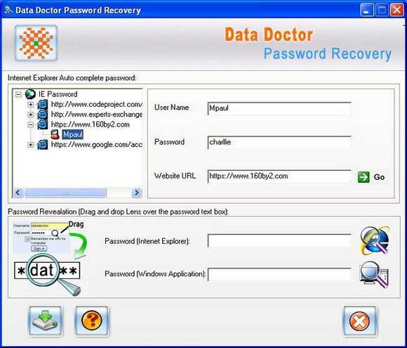 Screenshot of IE Password Revealer Program